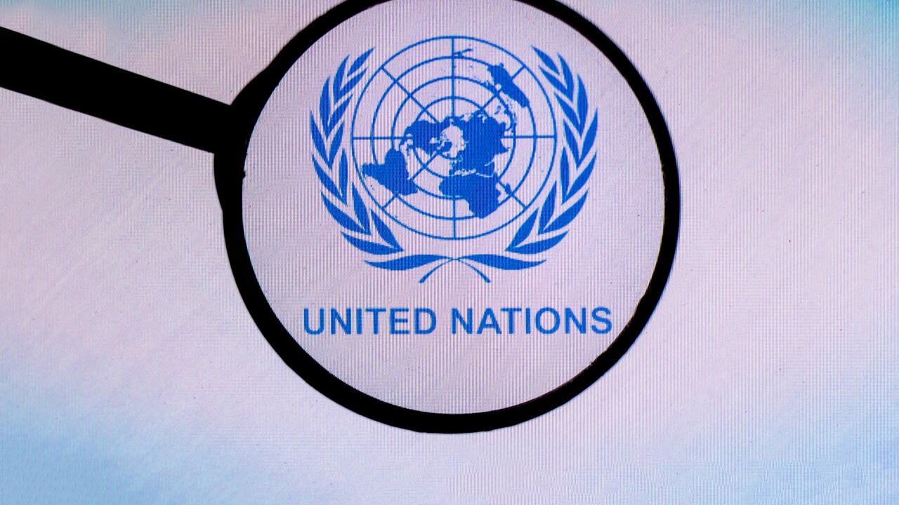 Logotipo de las Naciones Unidas (ONU)