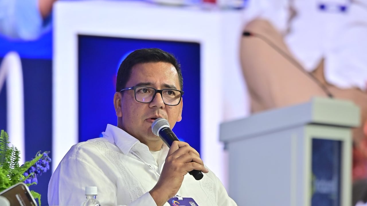 Luis Francisco Madriñán, viceministro de minas.
