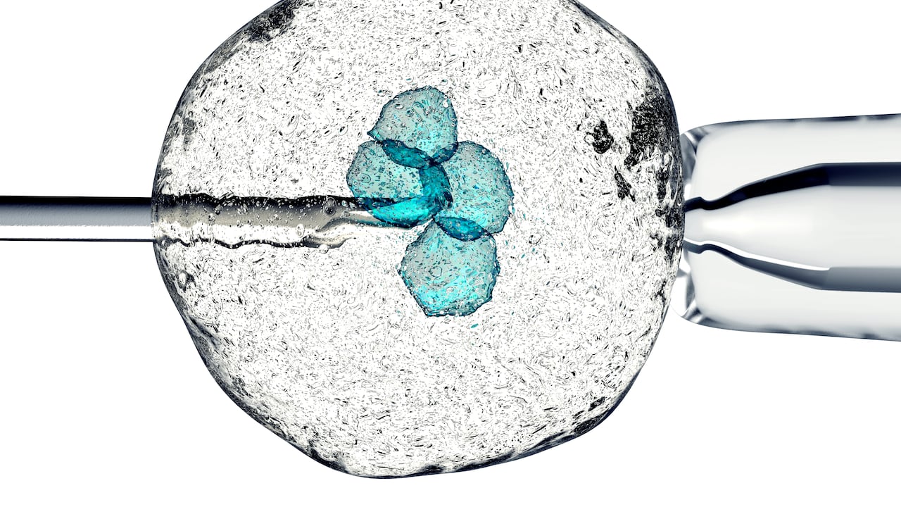 El cuerpo humano posee más de 30 billones de células.