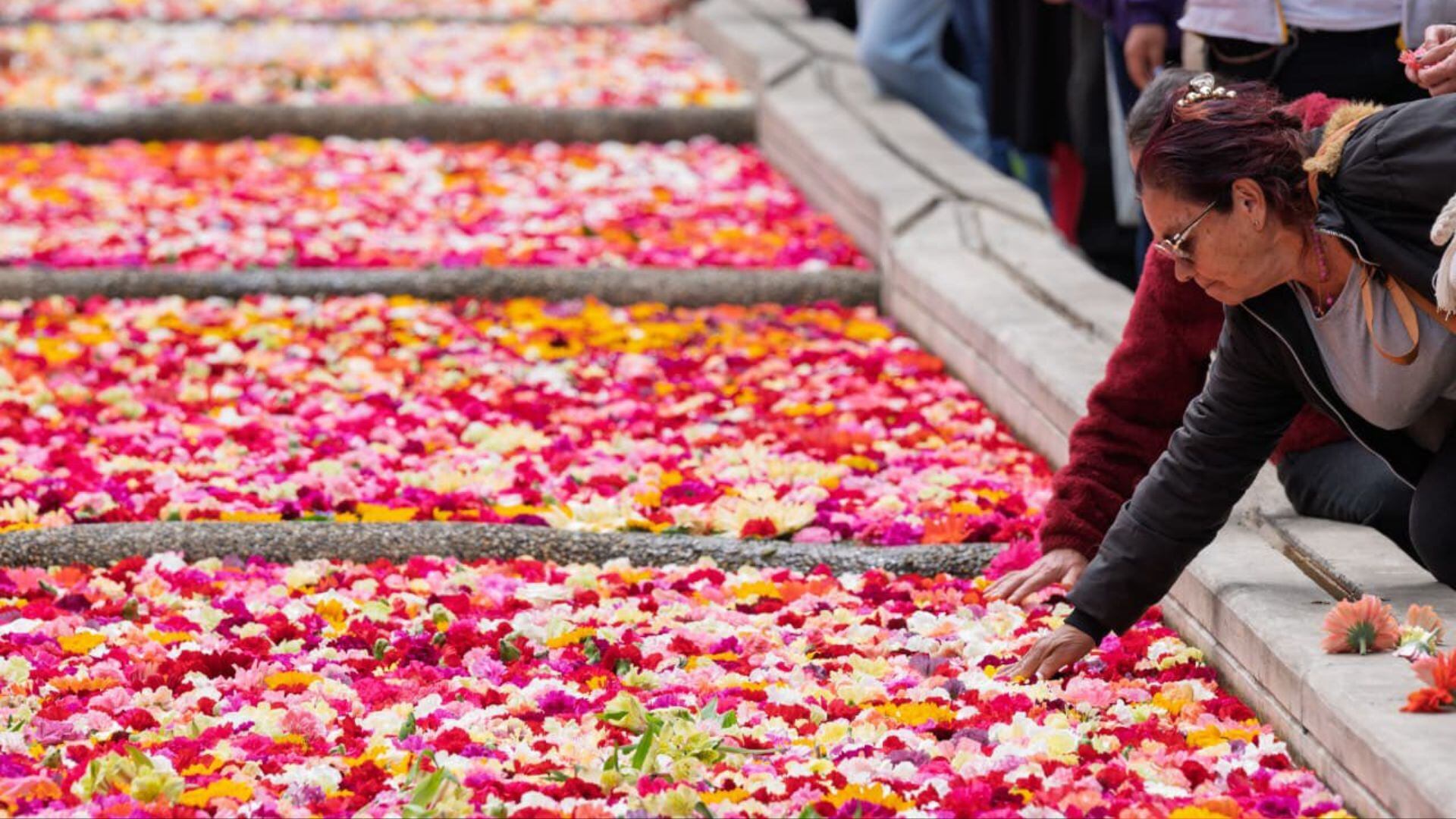 Apertura de la Bienal de arte de Bogotá.
