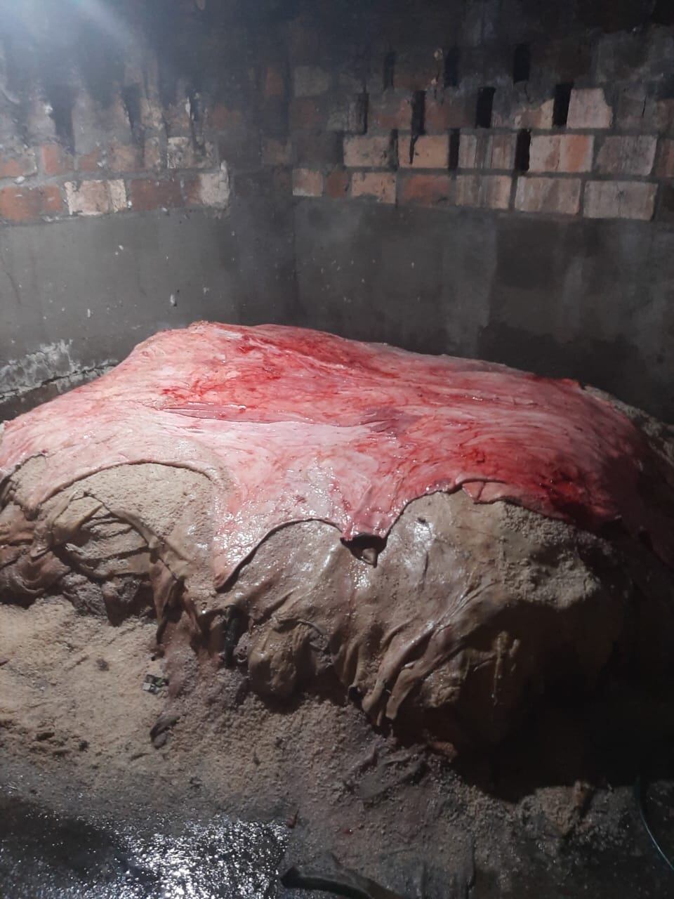 Intervención del Invima en matadero de Barrancabermeja.