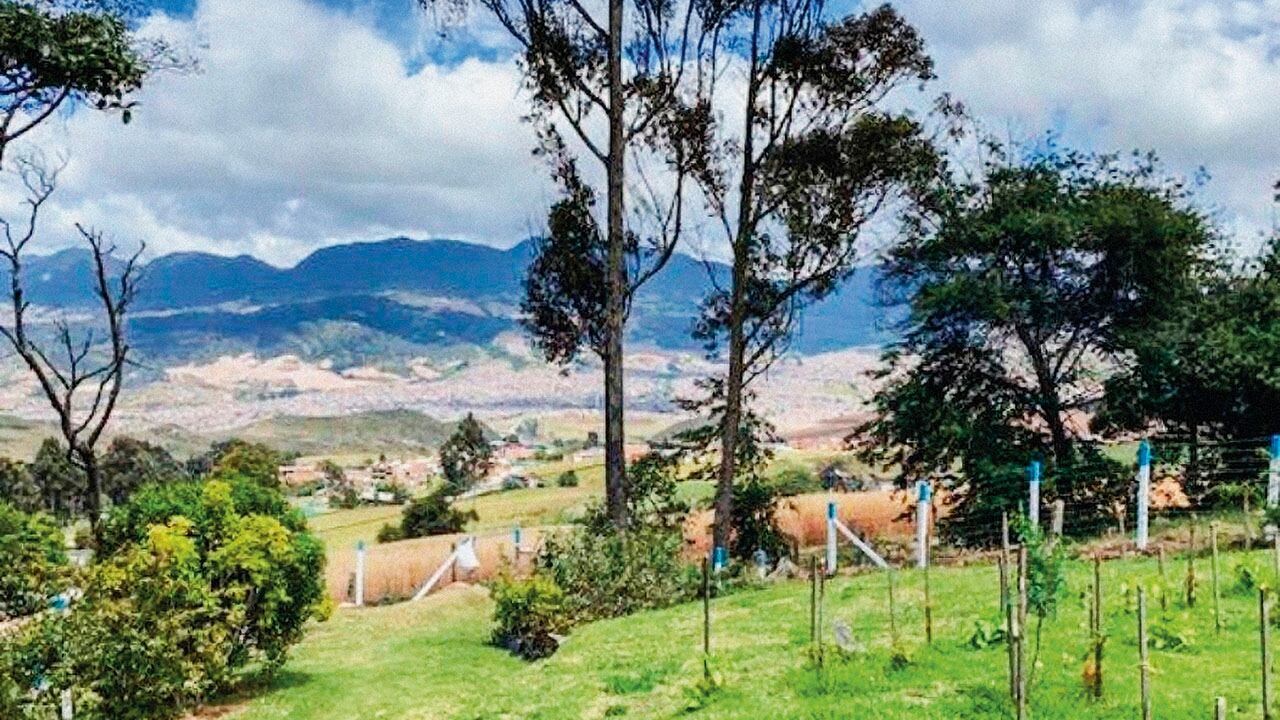 En las montañas se escondía uno de los depredadores sexuales más peligrosos que ha tenido la capital durante los últimos años.