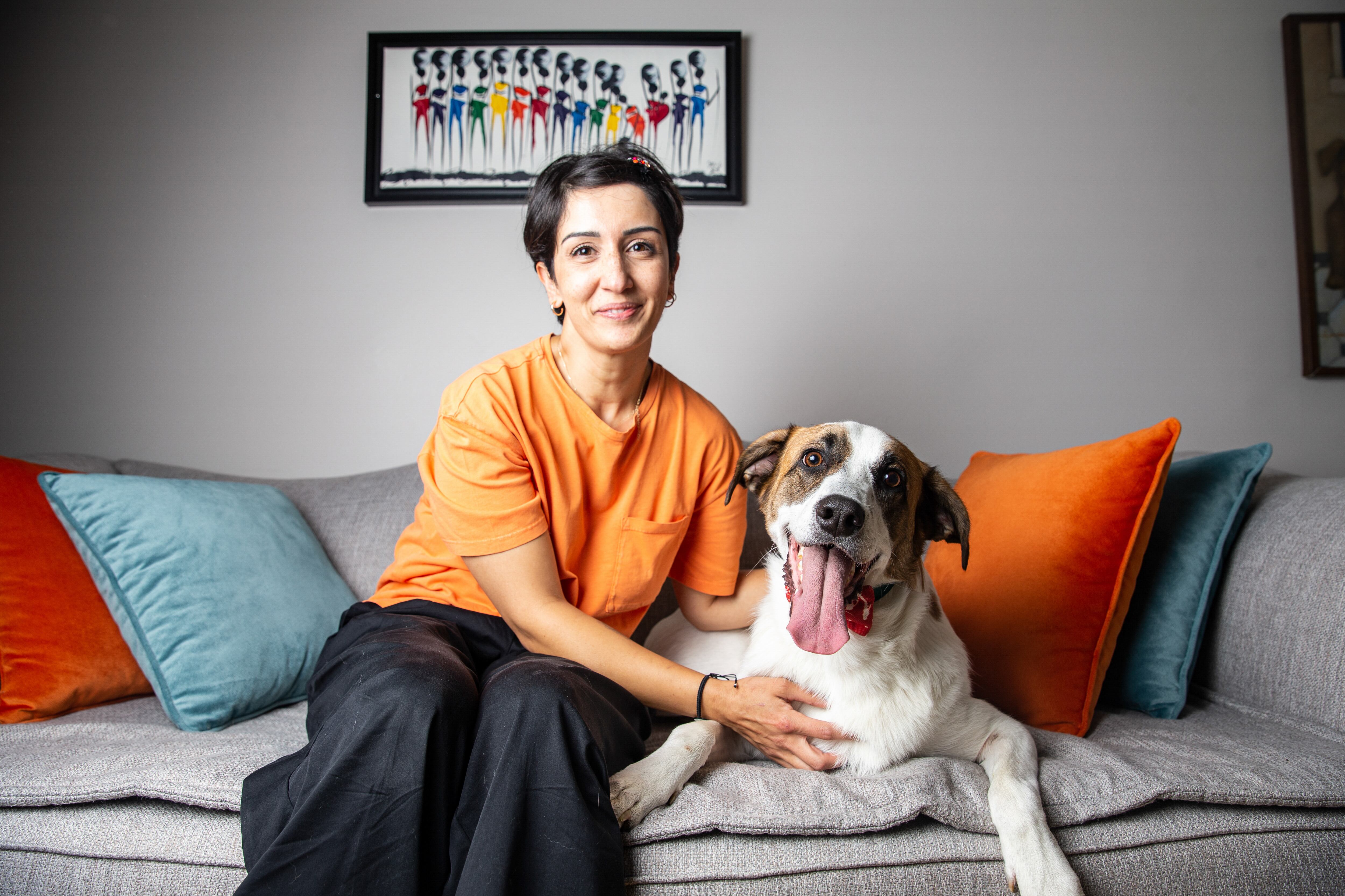 La compañía de perros o gatos puede ser beneficiosa.