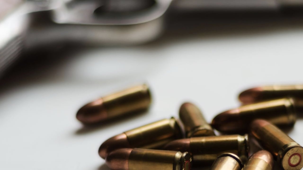 (Imagen de referencia).