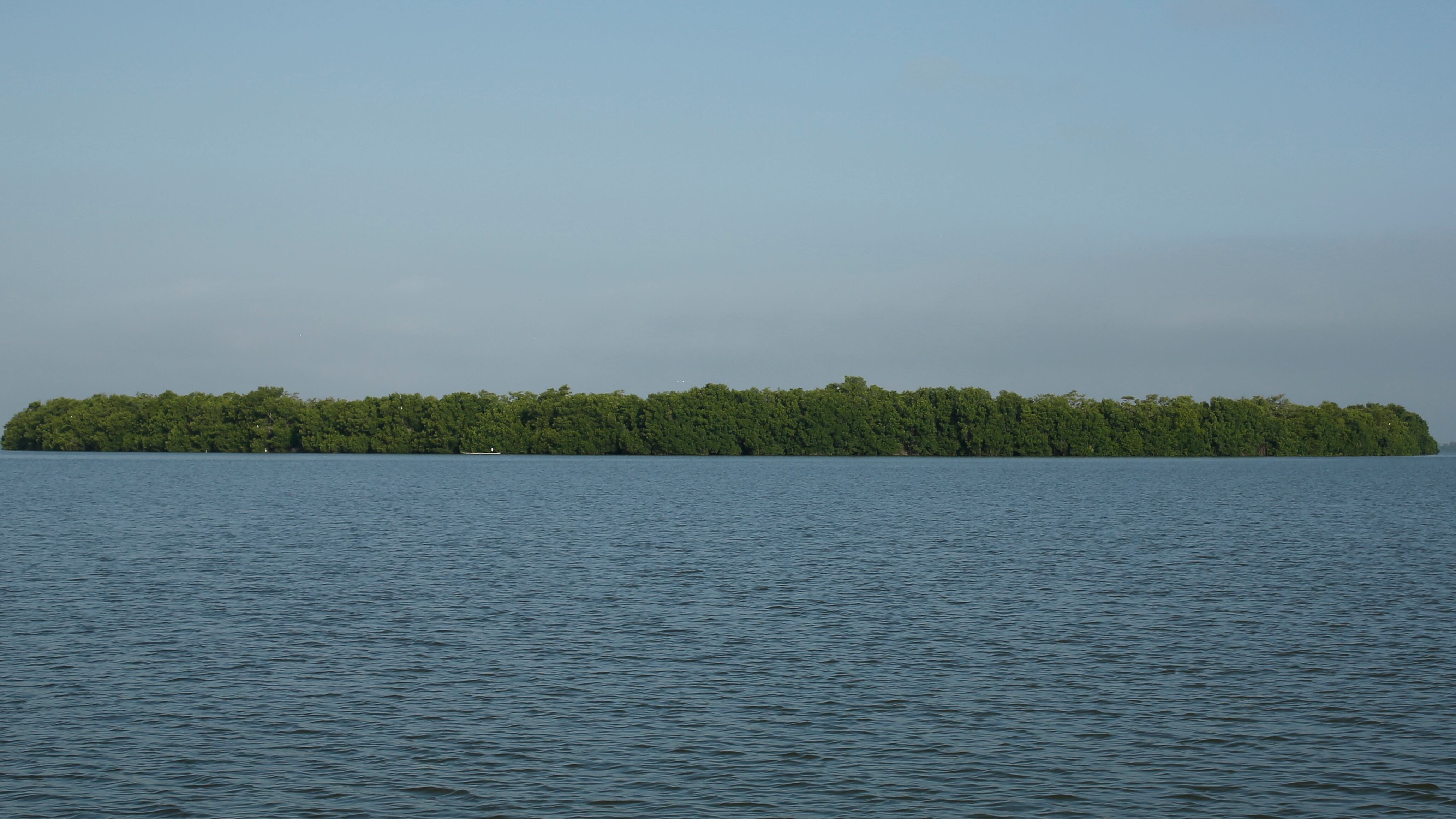 La Ciénaga Grande de Santa Marta, el lugar que escogió Smart Fit para realizar su miniserie dedicada a los aventureros.