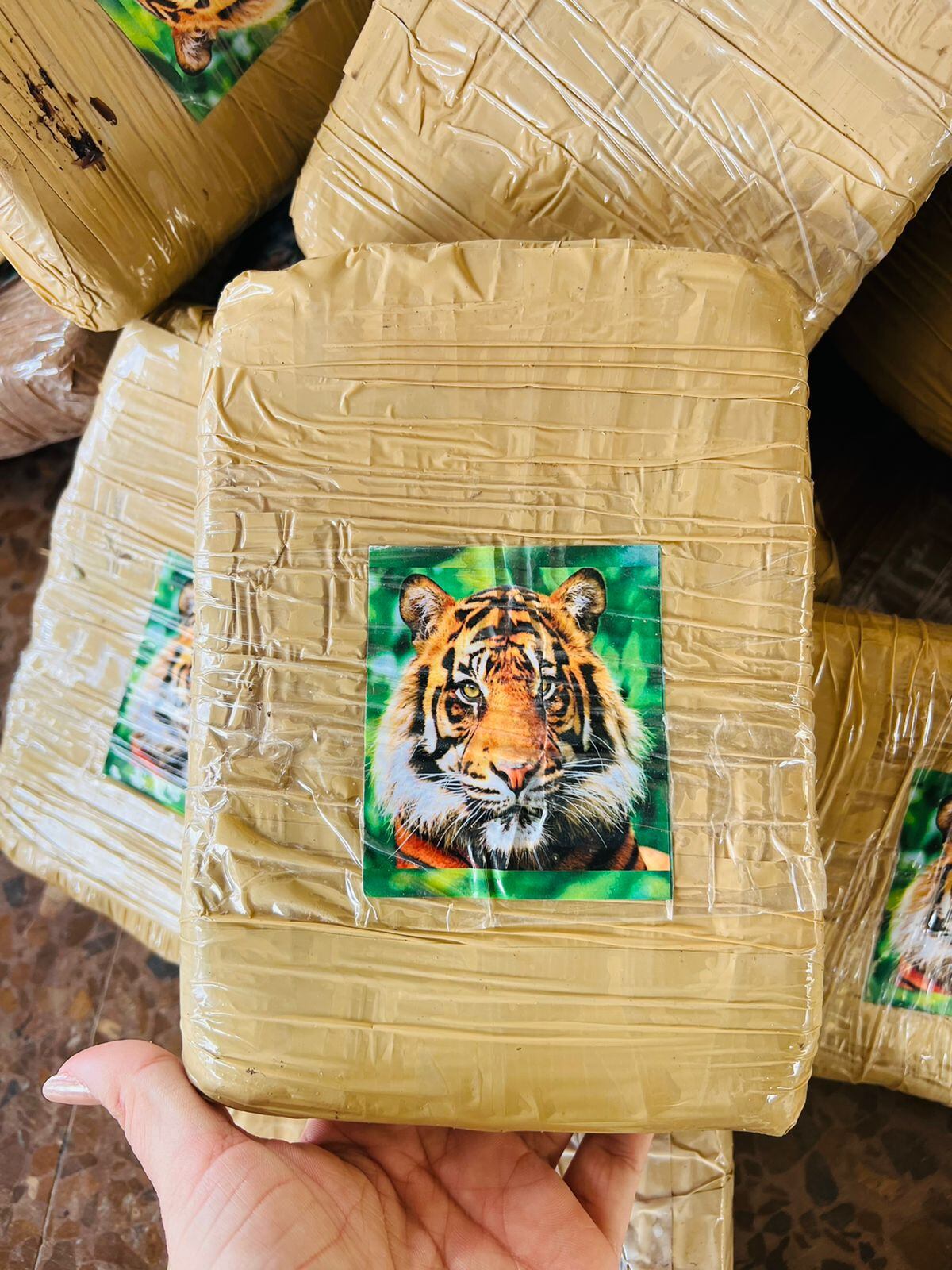 El Ejército Nacional incautó más de 2,5 toneladas de marihuana y 346 kilos de cocaína en zona rural de Paz de Ariporo, Casanare.