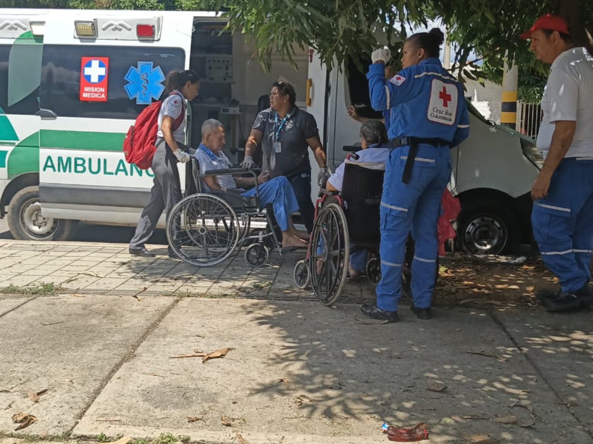 Un adulto mayor murió por complicaciones de salud tras el ataque de las abejas.