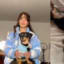 Dulce María, la perrita que solo responde si le hablan en costeño.