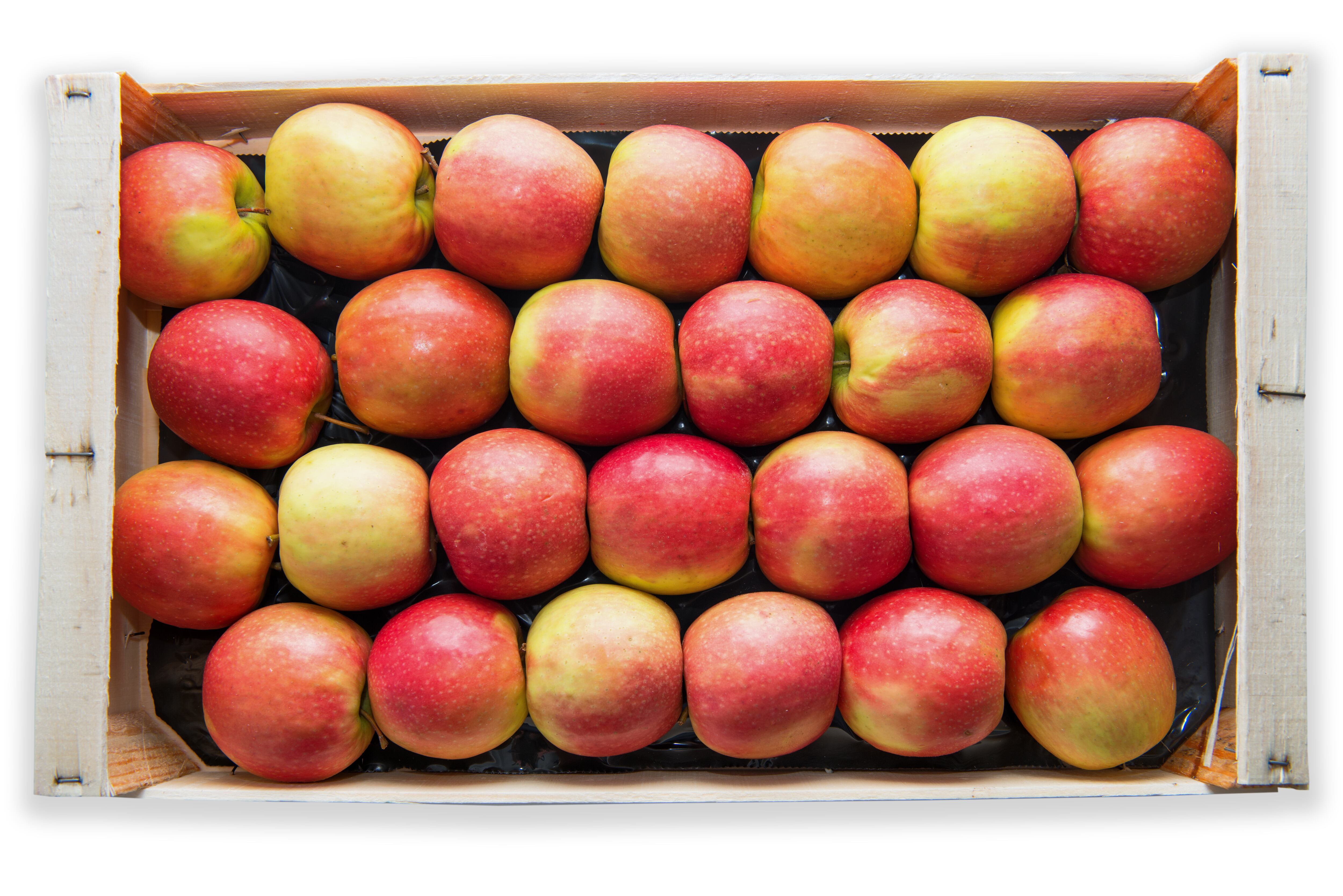 A Colombia se importan más de 6 mil toneladas de manzanas francesas cada año.