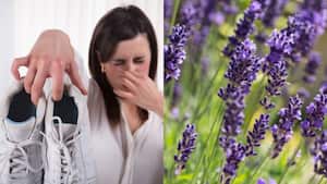 El mal olor en los zapatos puede ser provocado por el sudo excesivo.