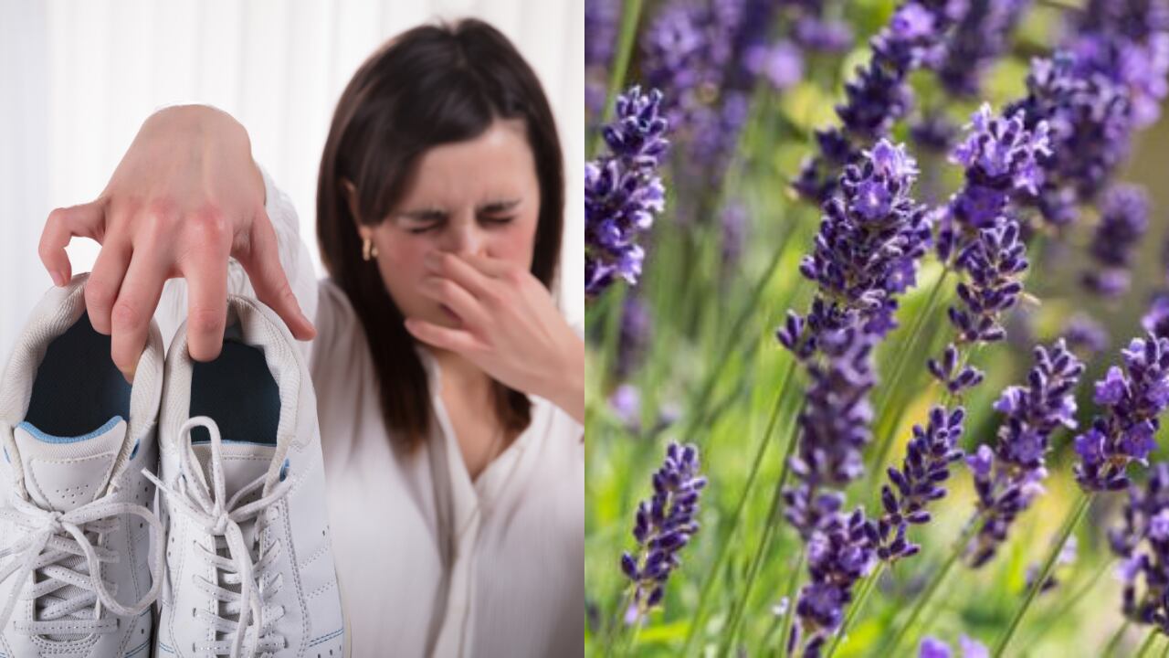 El mal olor en los zapatos puede ser provocado por el sudo excesivo.