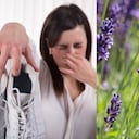 El mal olor en los zapatos puede ser provocado por el sudo excesivo.