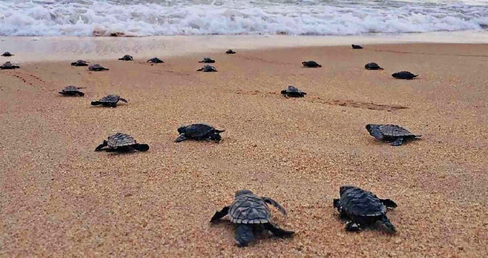 Cuando el mundo respiró_13