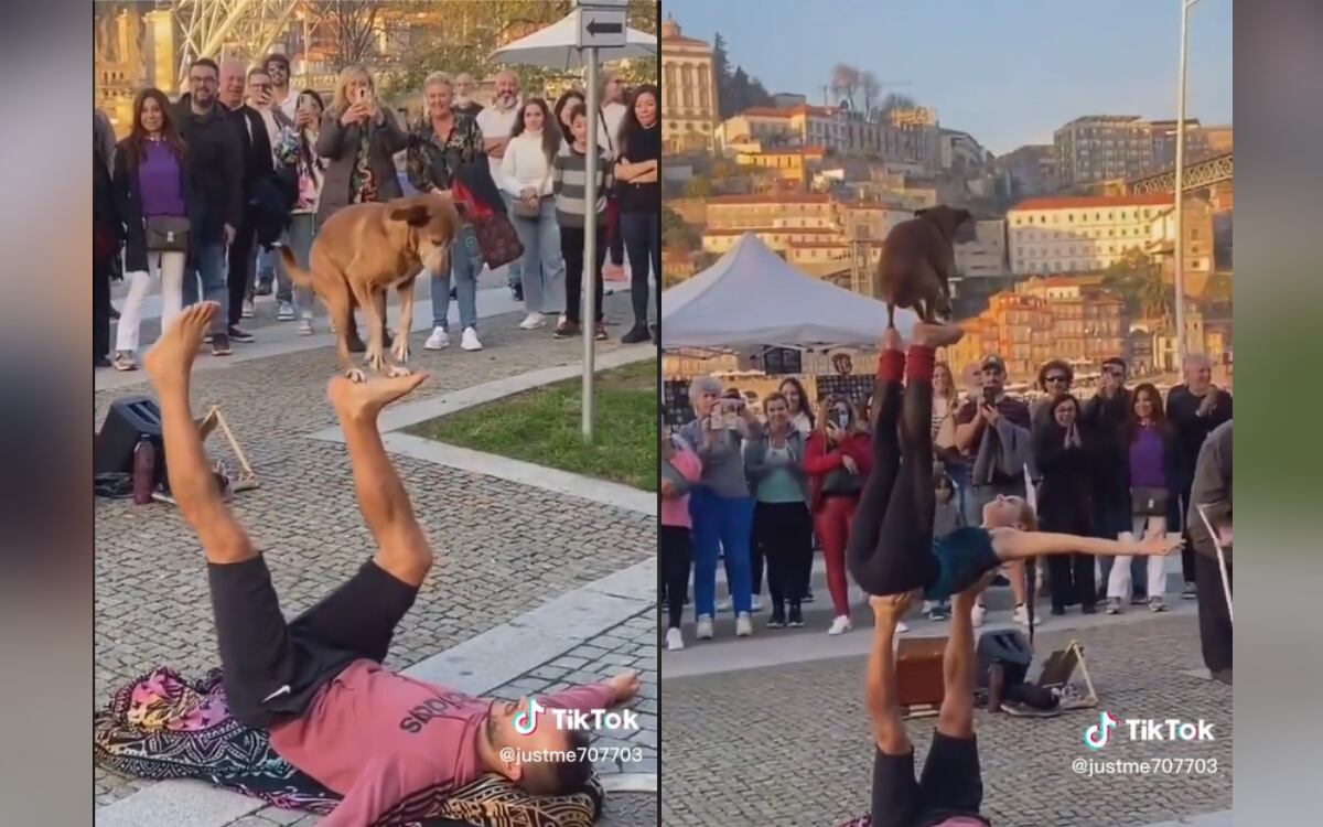 Tik Tok:@justme707703