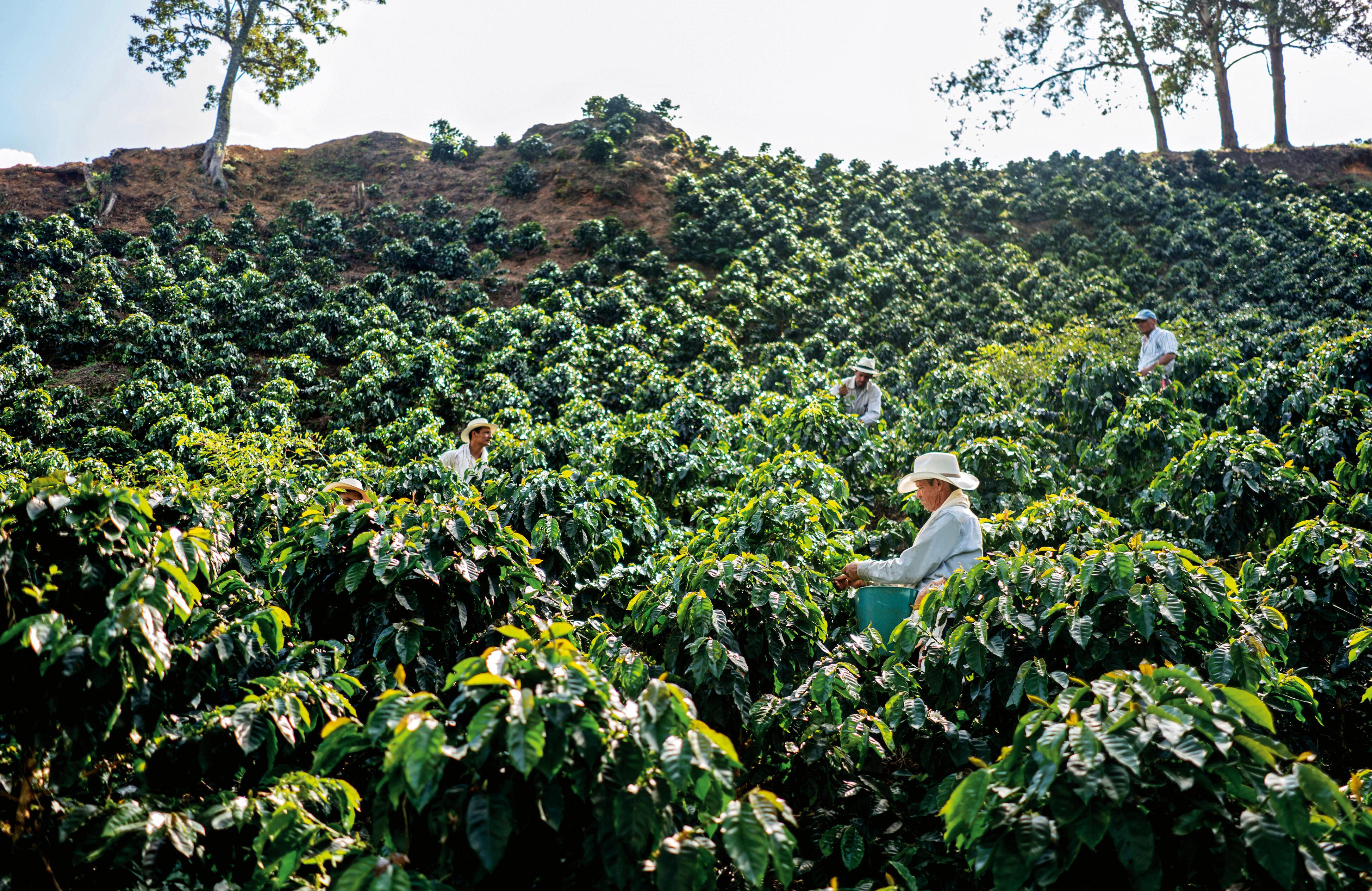 Foro Colombia Rural 2025
