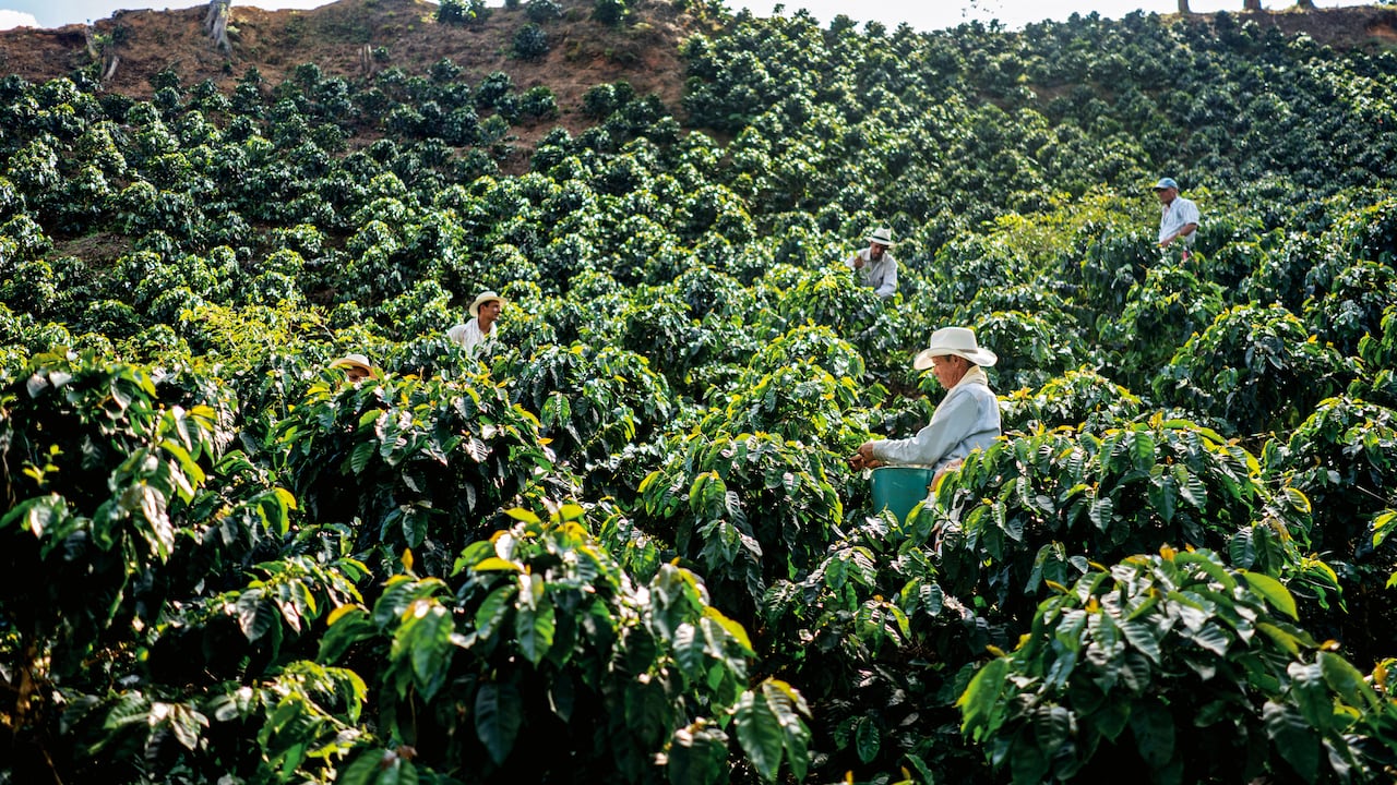 Foro Colombia Rural 2025