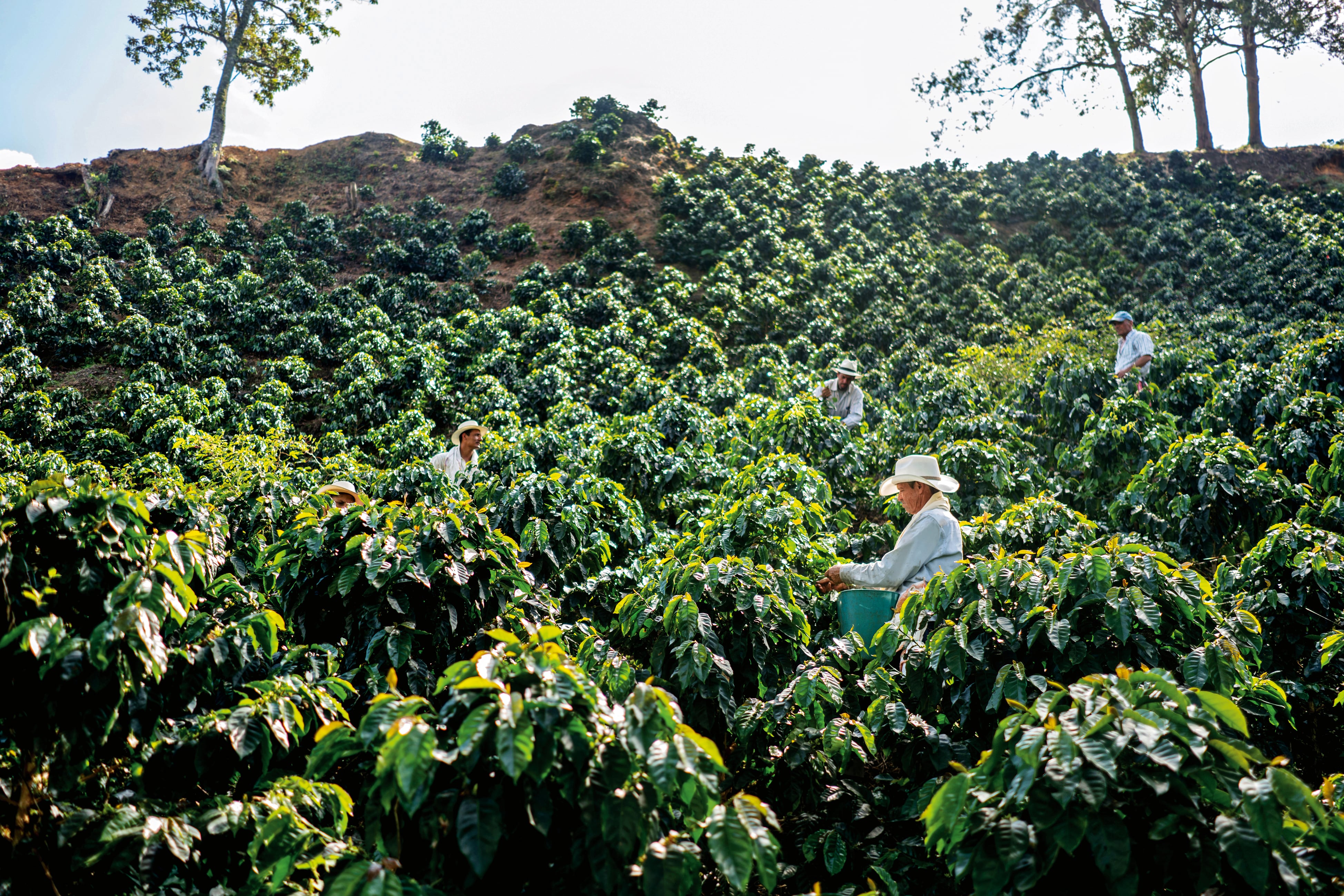 Foro Colombia Rural 2025