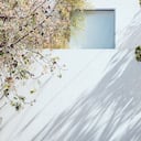 Foto de referencia de una fachada blanca