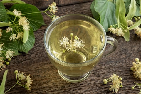 Infusión de hamamelis para mejorar la circulación sanguínea.