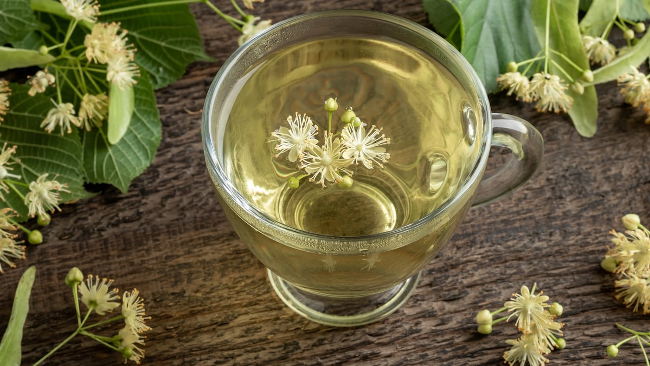 Infusión de hamamelis para mejorar la circulación sanguínea.