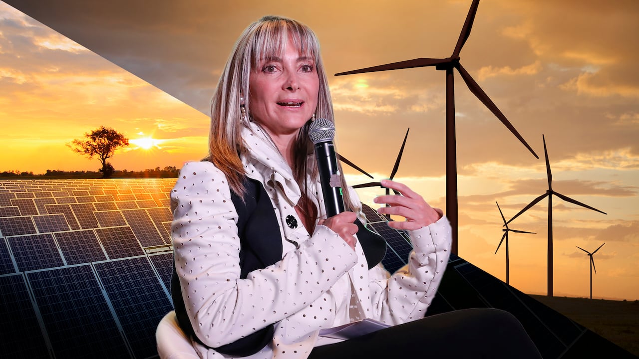 "Necesitamos triplicar la inversión en renovables, ampliar la transmisión y complementar la confiabilidad del suministro eléctrico con baterías, compensadores síncronos, redes flexibles entre otras soluciones que cada vez son más competitivas", Alexandra Hernández, presidenta de SER Colombia.