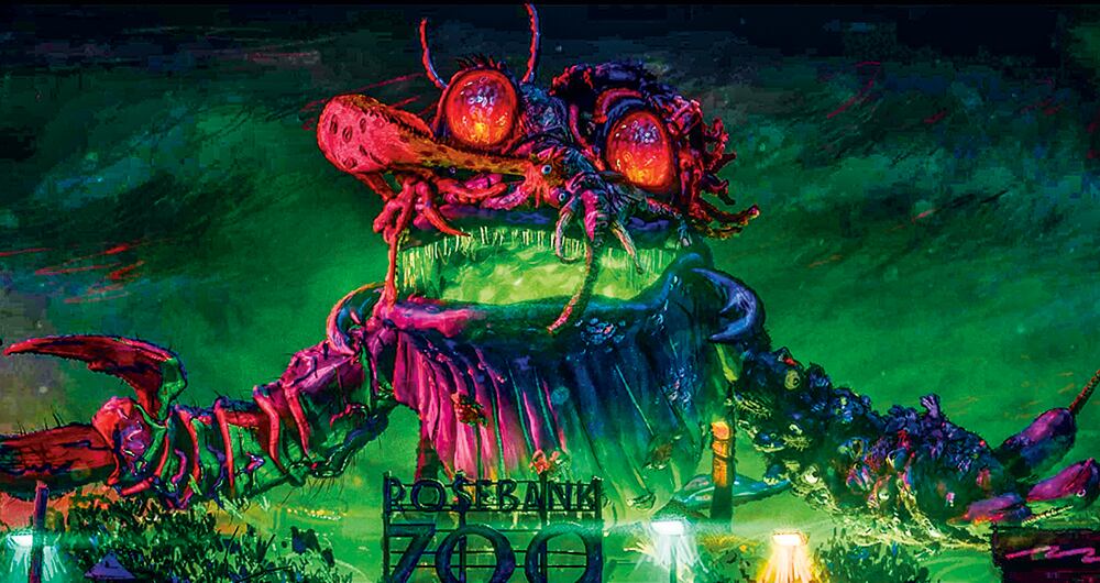 Estas tortugas triunfan, pero no lo hacen solas_3