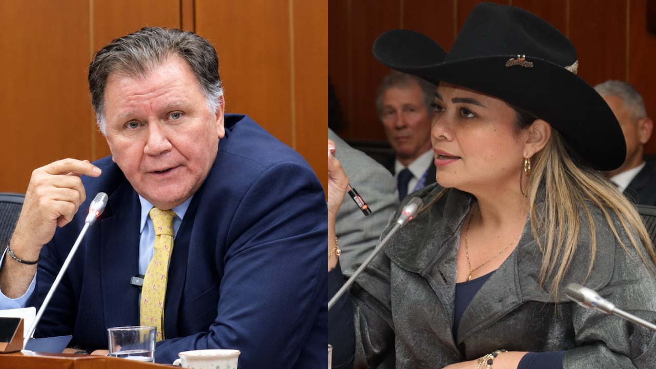 Indalecio Dangond y Lina María Garrido estuvieron presentando los informes en la Comisión Quinta del Senado.