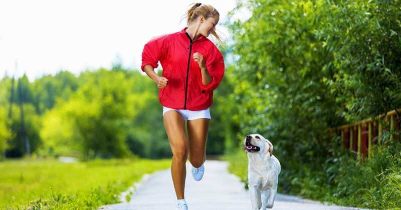 Claves para hacer ejercicio con tu mascota 