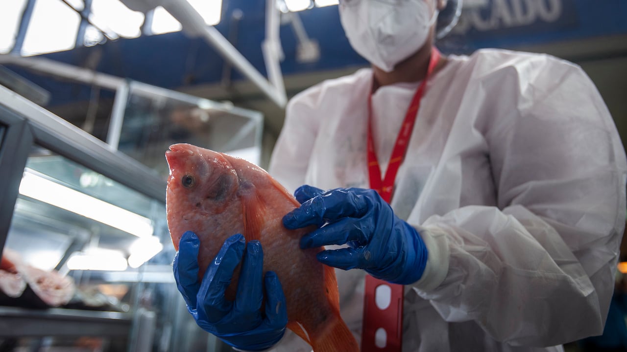 Venta de pescado Semana Santa. Foto: Catalina Olaya / Semana