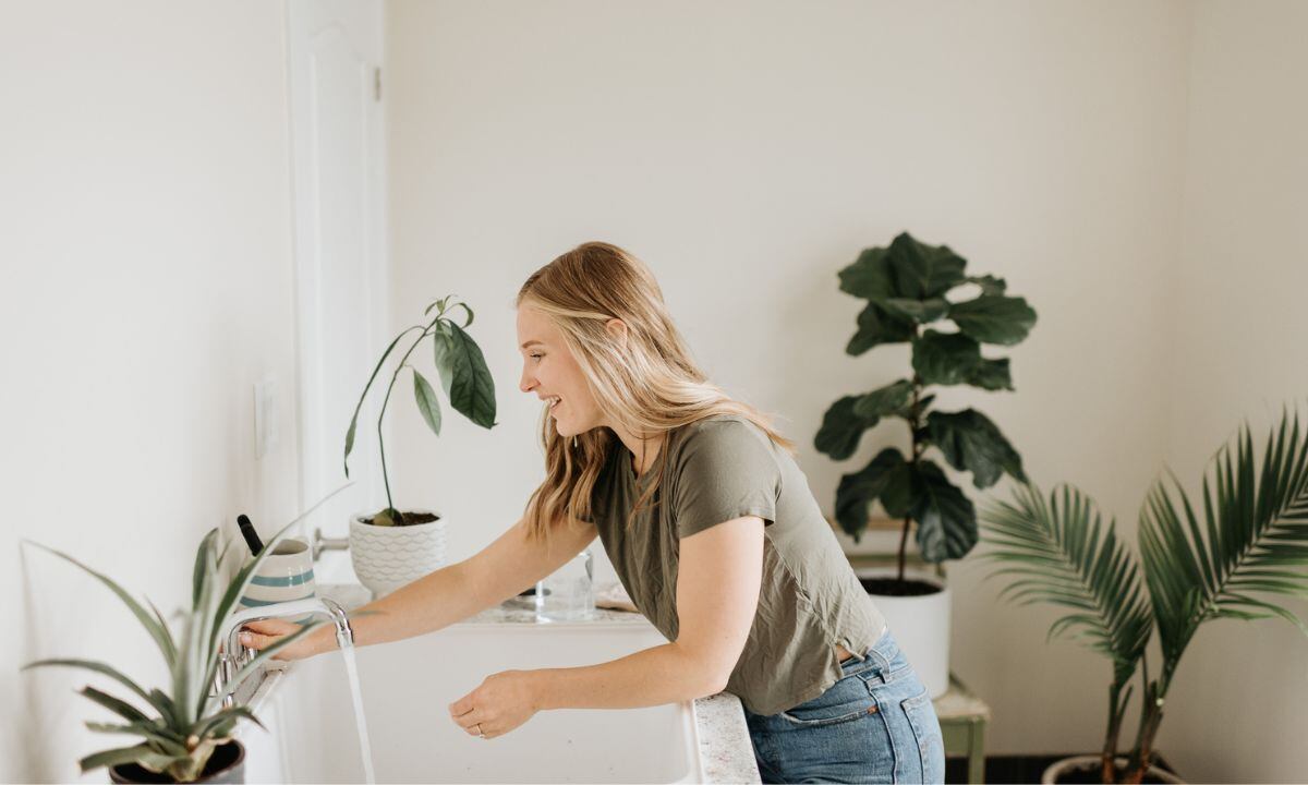Plantas que se pueden poner en el baño.