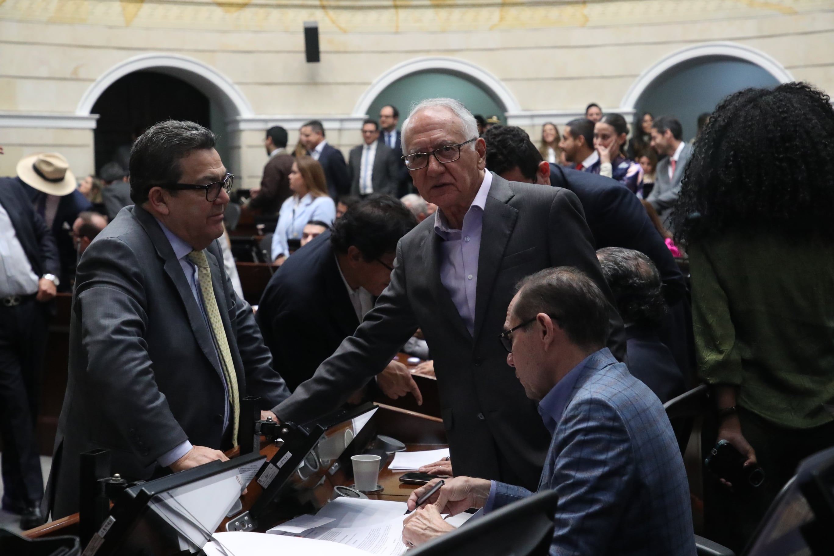 Plenaria Senado, consulta popular