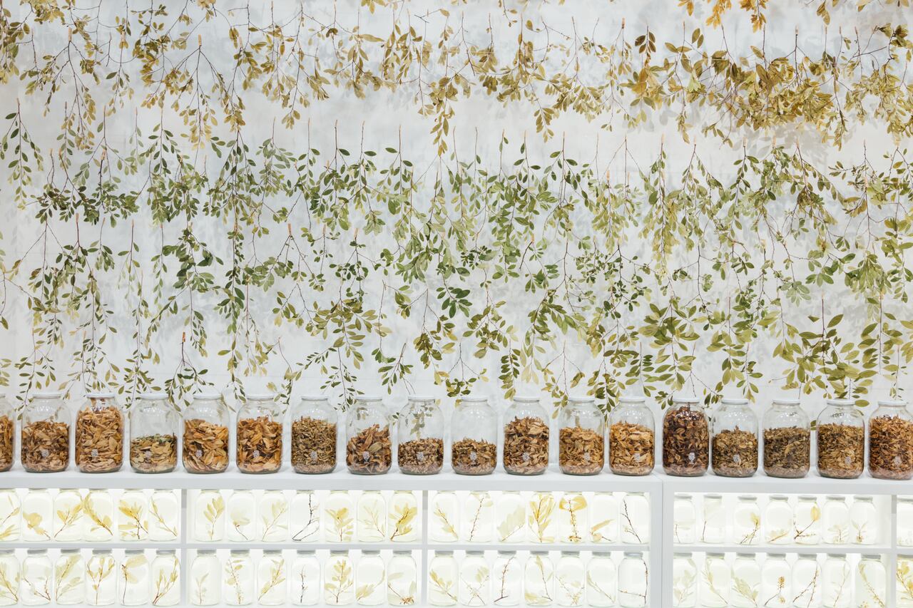 Khoka Project presenta los usos y las formas de relacionamiento más sagradas de la coca. Una invitación a repensar la planta y sus variopintos atributos.