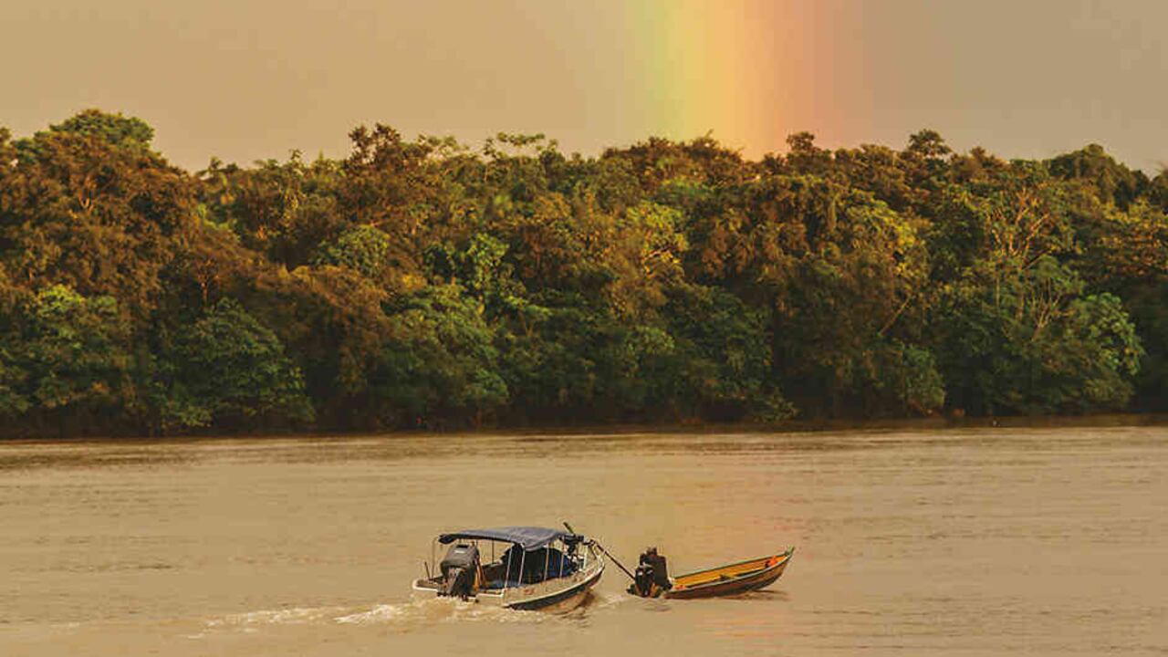 La Corte Constitucional conformó cinco comités que le harán seguimiento al fallo.