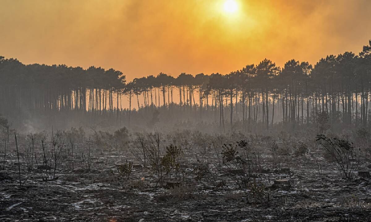 Así luce la Gironda, uno de los sectores de Francia más golpeados por la ola de calor que atraviesa Francia y Europa en general