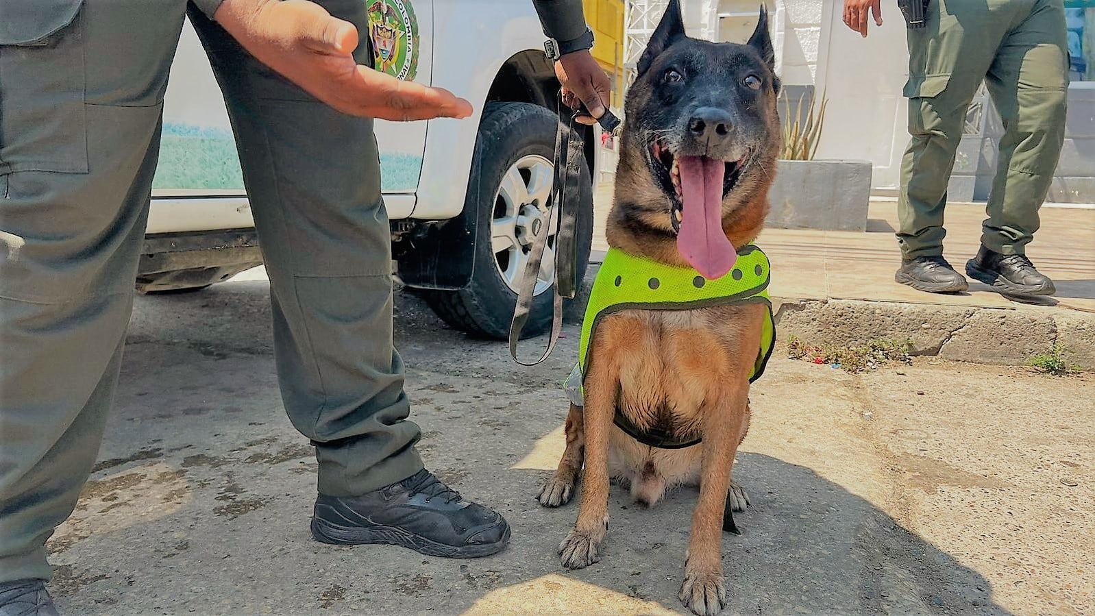 Kalet perro policía