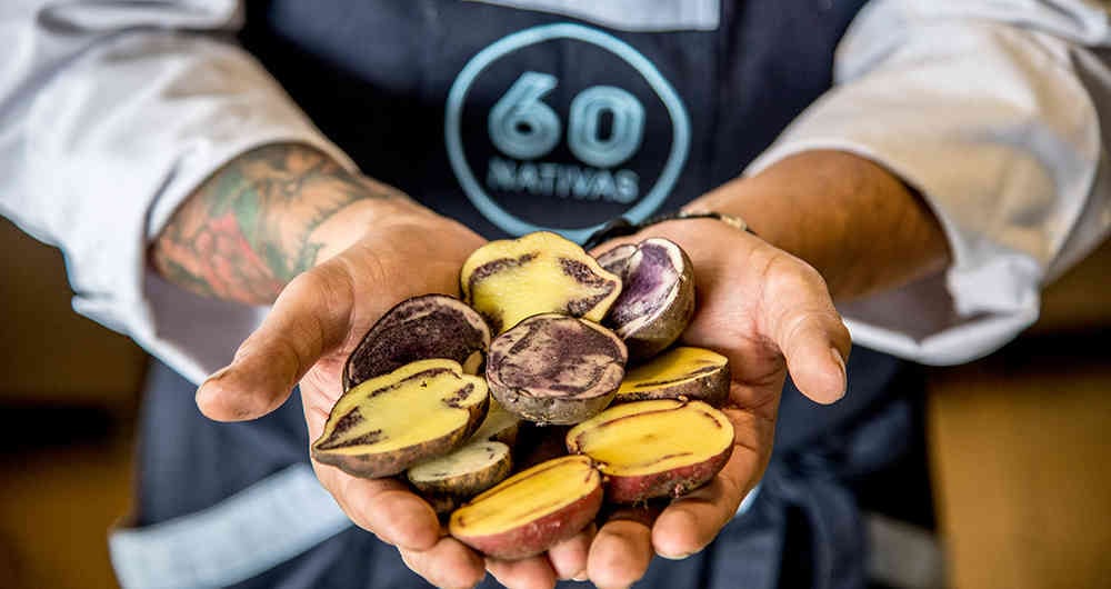 El restaurante 60 Nativas está ubicado en Chapinero y se especializa en cocinar con papas locales.