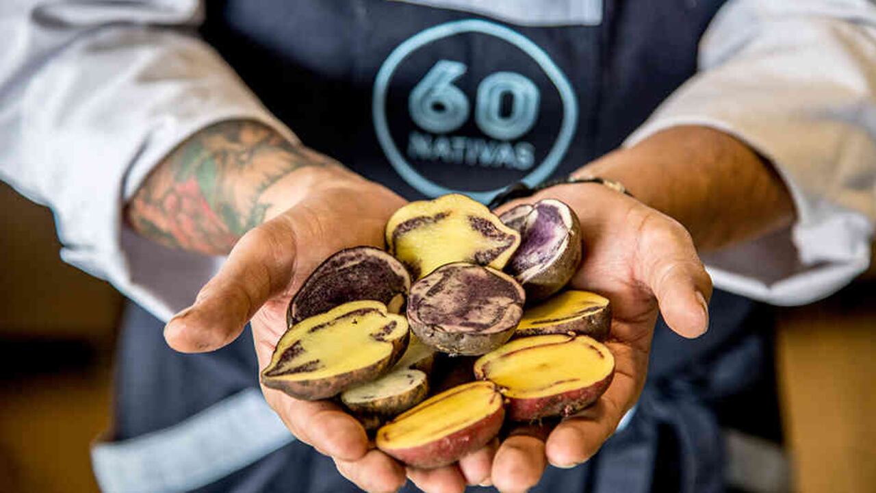 El restaurante 60 Nativas está ubicado en Chapinero y se especializa en cocinar con papas locales.