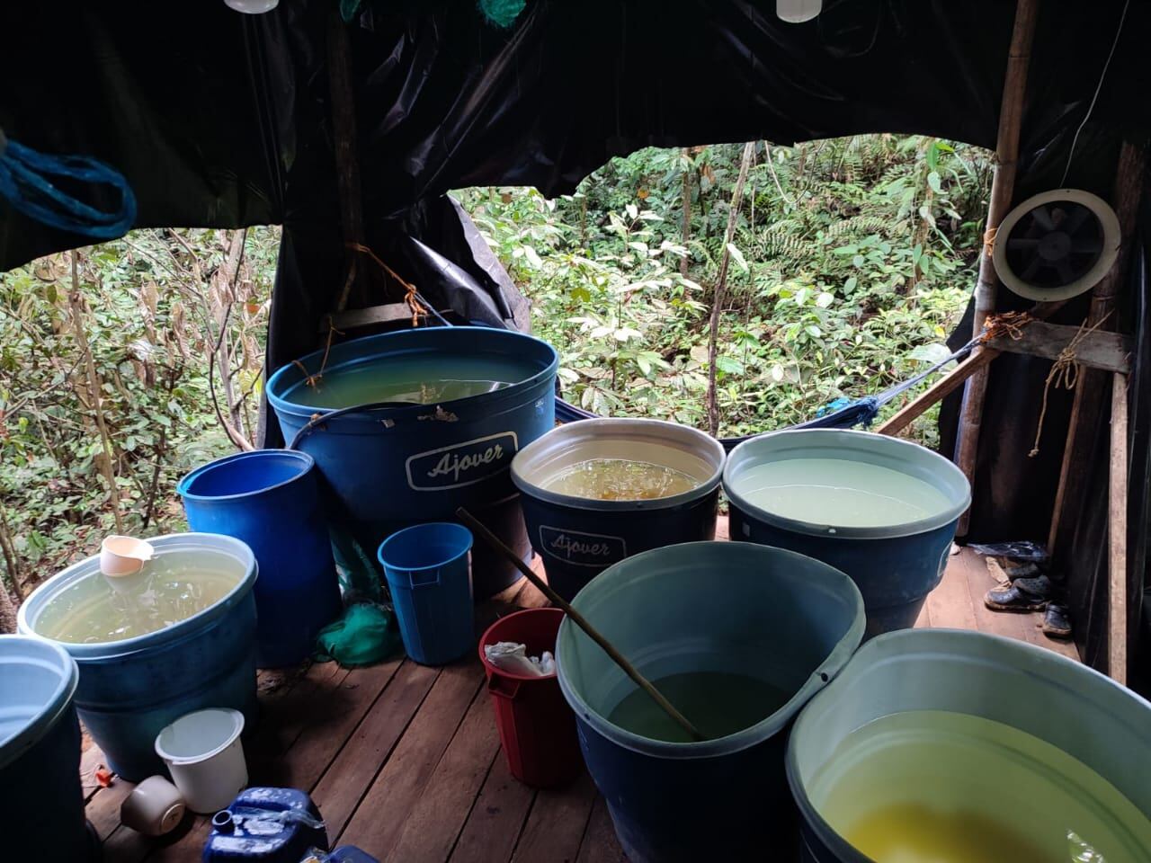 Los insumos usados para la preparación de la cocaína fueron destruidos.