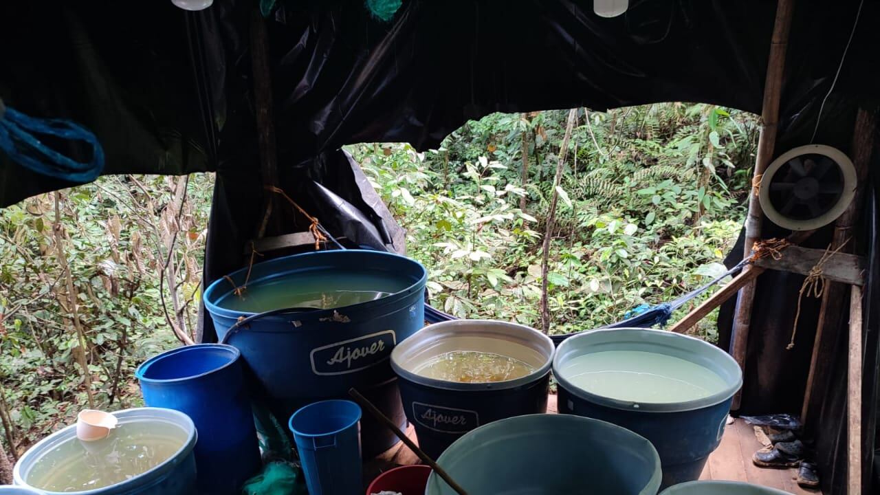 Los insumos usados para la preparación de la cocaína fueron destruidos.