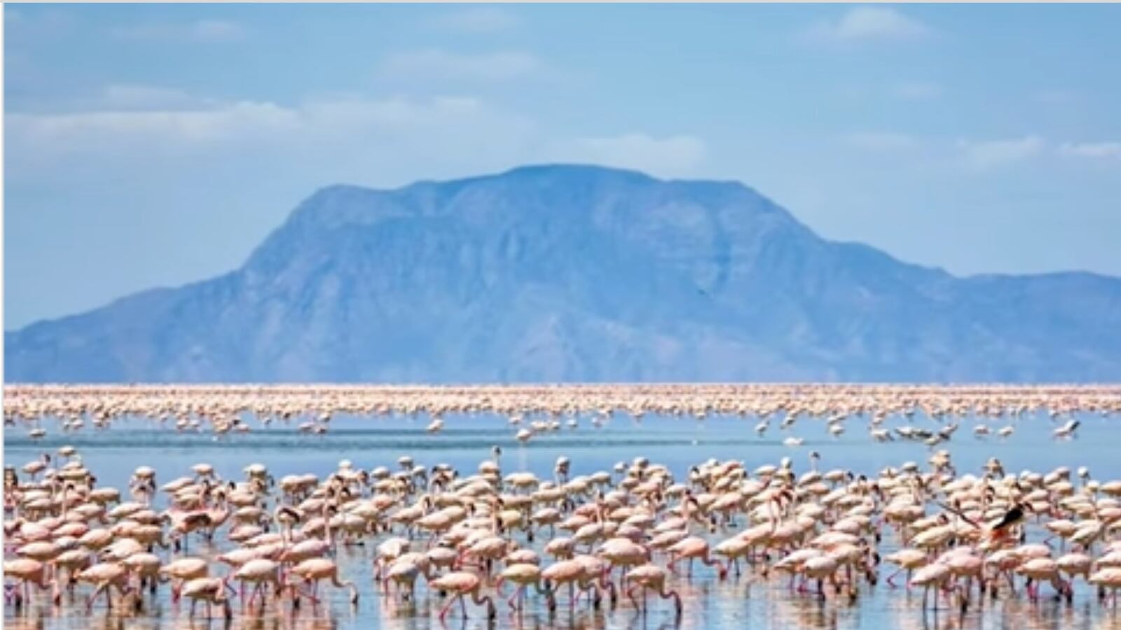 Conozca el Lago Natrón en África