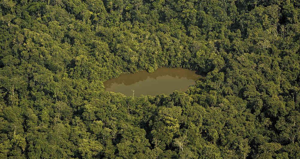 Varios países liderados por Colombia tratan de llamar la atención de los organismos internacionales (Naciones Unidas y programas ambientales) sobre la urgente necesidad de proteger el capital natural que tenemos en la Amazonia.