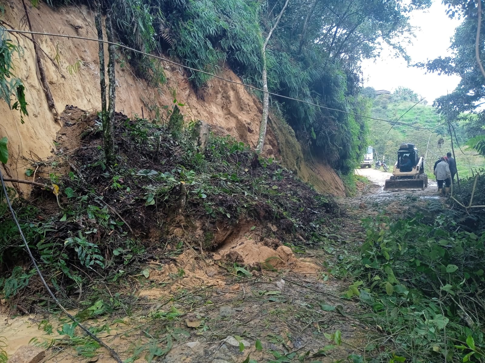 Los agricultores no han podido sacar sus cultivos.