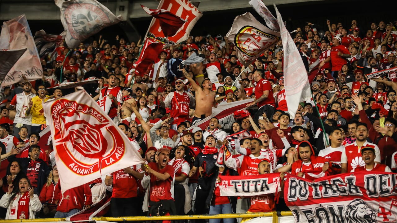 Entre 2008 y 2024 fueron registradas 262 muertes de hinchas.