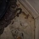 Aterrador video muestra cómo 20 serpientes cascabel fueron encontradas en un desordenado garaje en Estados Unidos.