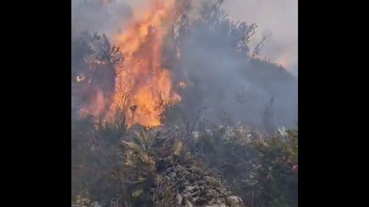 Reportan incendio forestal en páramo en Lenguazaque, Cundinamarca
