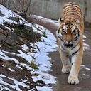 (Photo by Ukrinform/NurPhoto via Getty Images)