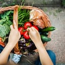 La alimentación es indispensable para evitar el padecimiento de diversas enfermedades.