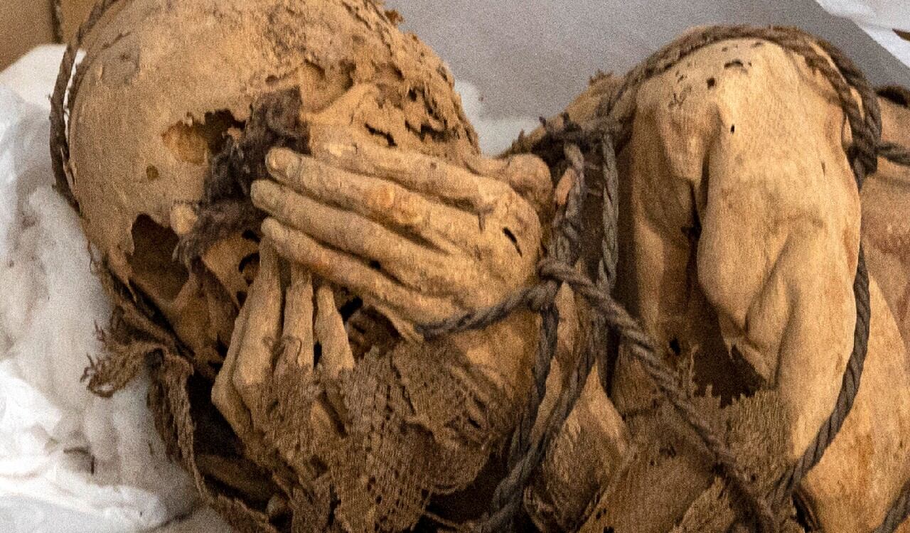 Todo parece indicar que la momia es de género masculino