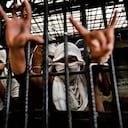 Los miembros de la pandilla Mara Salvatrucha muestran señales con los dedos que representan a su pandilla mientras están detenidos en un centro de detención el 20 de febrero de 2014 en San Salvador, El Salvador. (Photo by Jan Sochor/Latincontent/Getty Images)