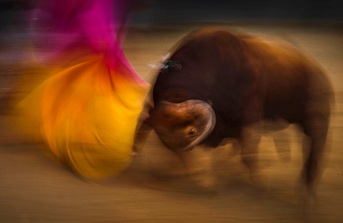 El español Juan del Álamo torea al Pedraza de Yelte, en Las Ventanas, Madrid, España. (AP/Daniel Ochoa de Olza)